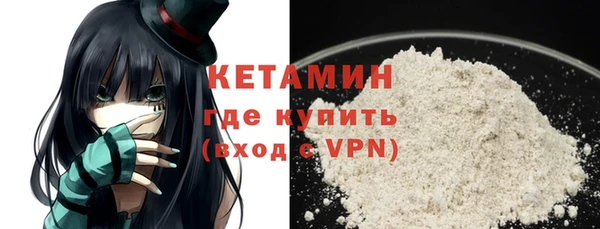 шишки Пересвет