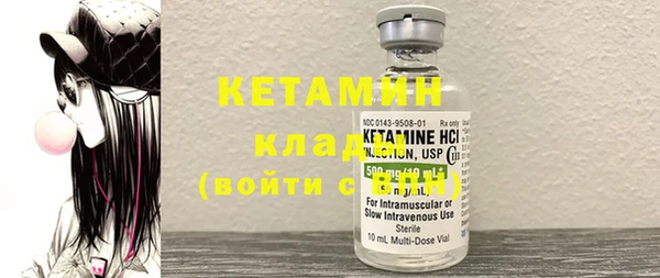 шишки Пересвет