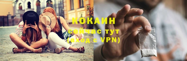 шишки Пересвет