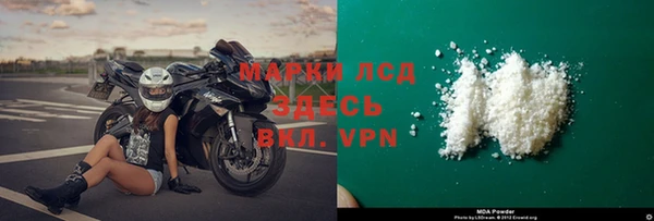 шишки Пересвет
