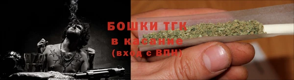 шишки Пересвет