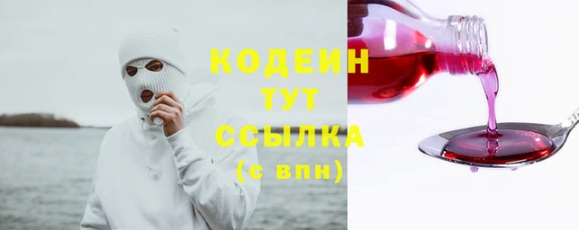 шишки Пересвет